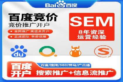 百度竞价SEM案例研究：提升转化率的关键策略